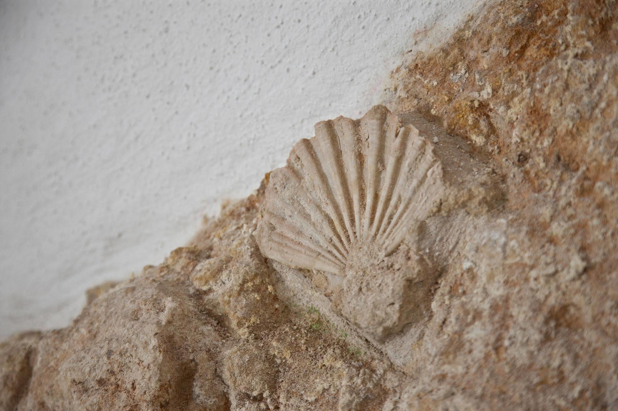 Ferienwohnung Grottammare Polignano a Mare Exterior foto